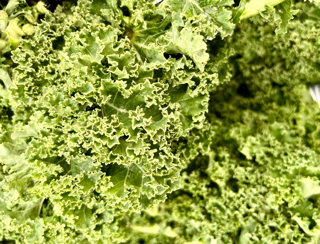 5 Ways to Transform Lettuce into Culinary&nbsp;Art