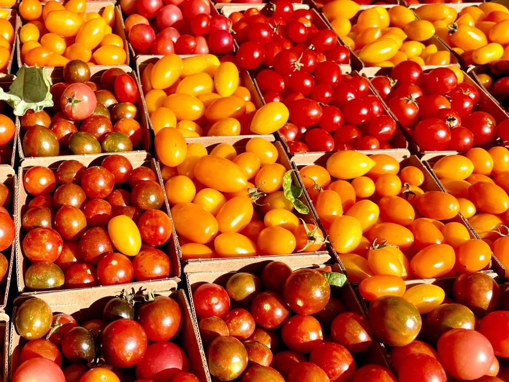 5 Ways To Harness The Power Of&nbsp;Tomatoes