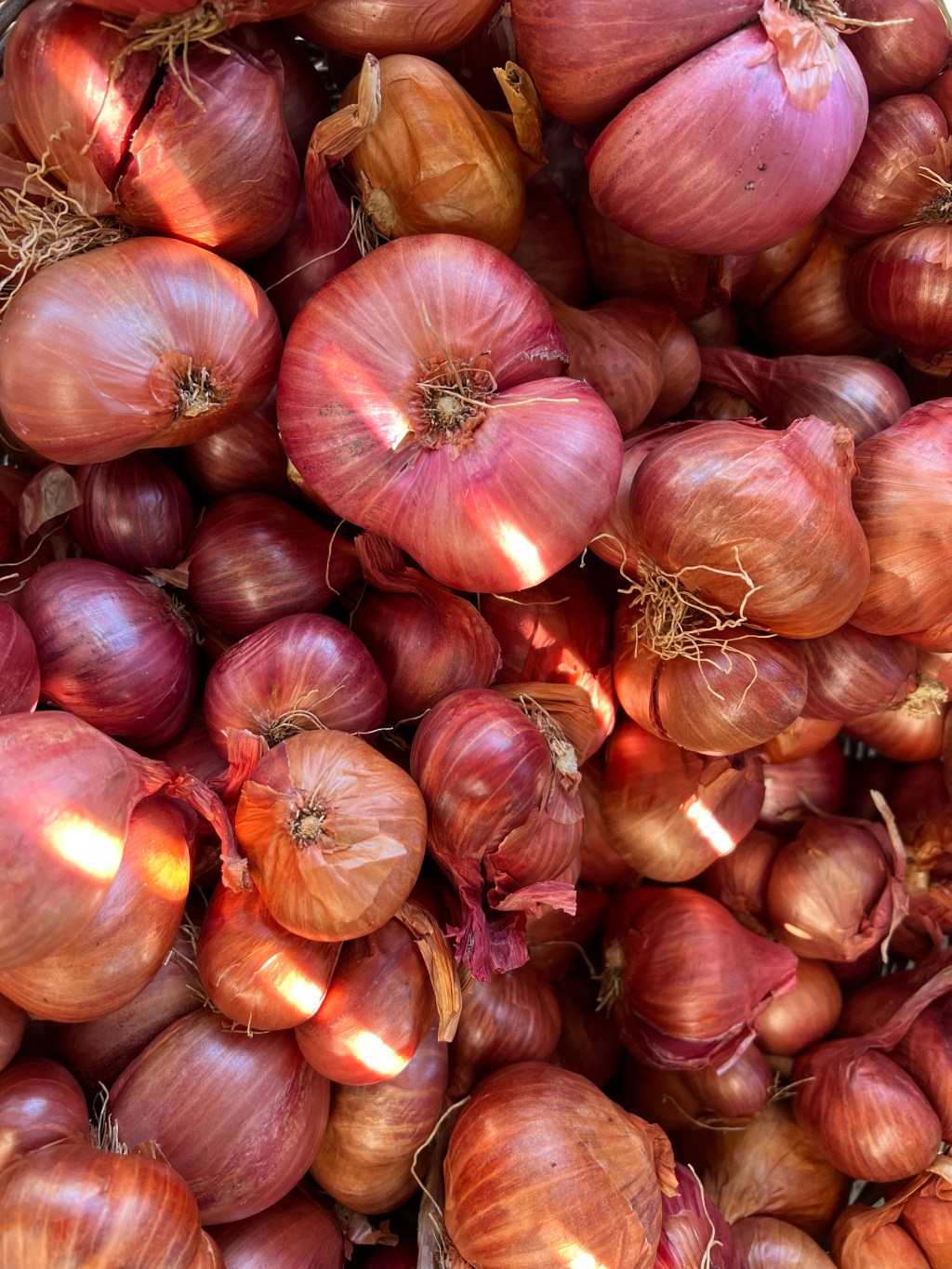 5 Ways to Unpeel The Potential Of&nbsp;Onions