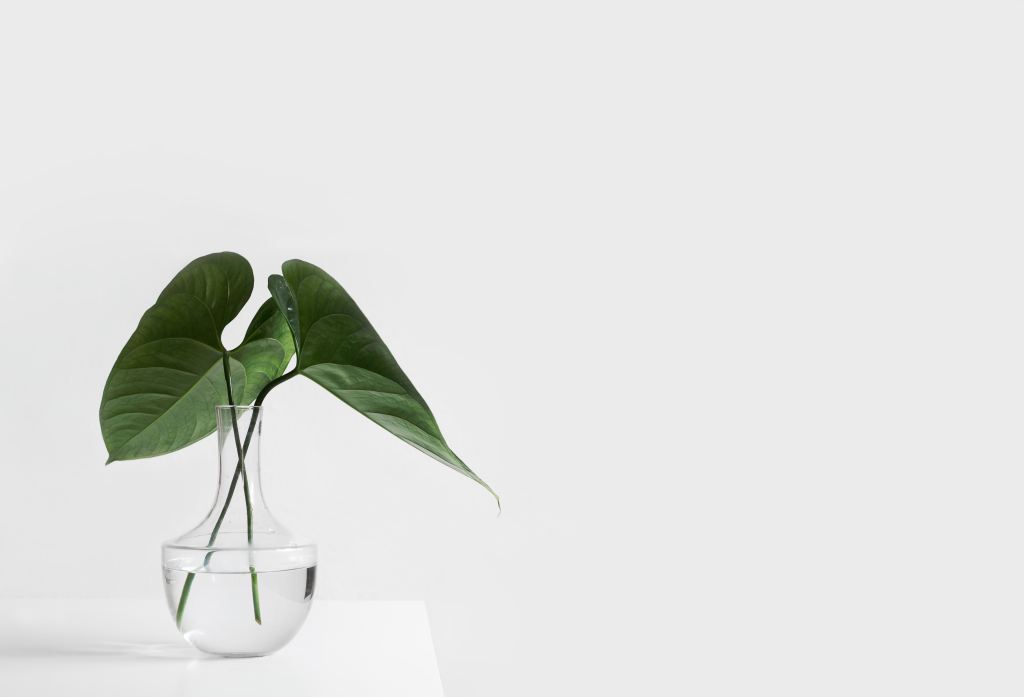 Less is More: 5 Ways Towards&nbsp;Minimalism